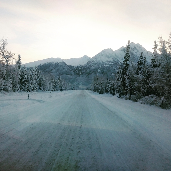 Meet your Posher, Cyndi - Picture 7 of 16